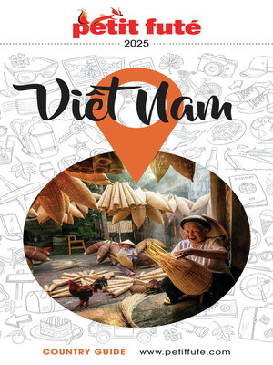 cover image of Guide Vietnam 2025 Petit Futé